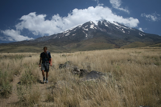 Ararat