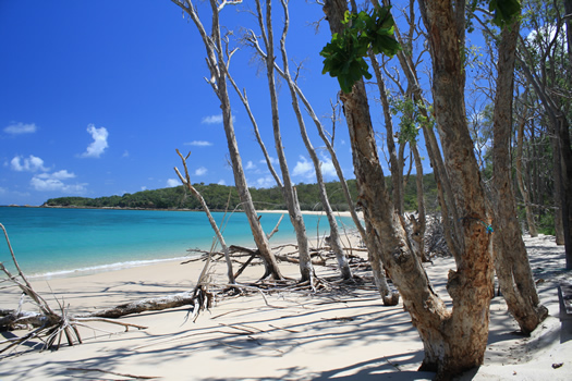 Great Keppel Island