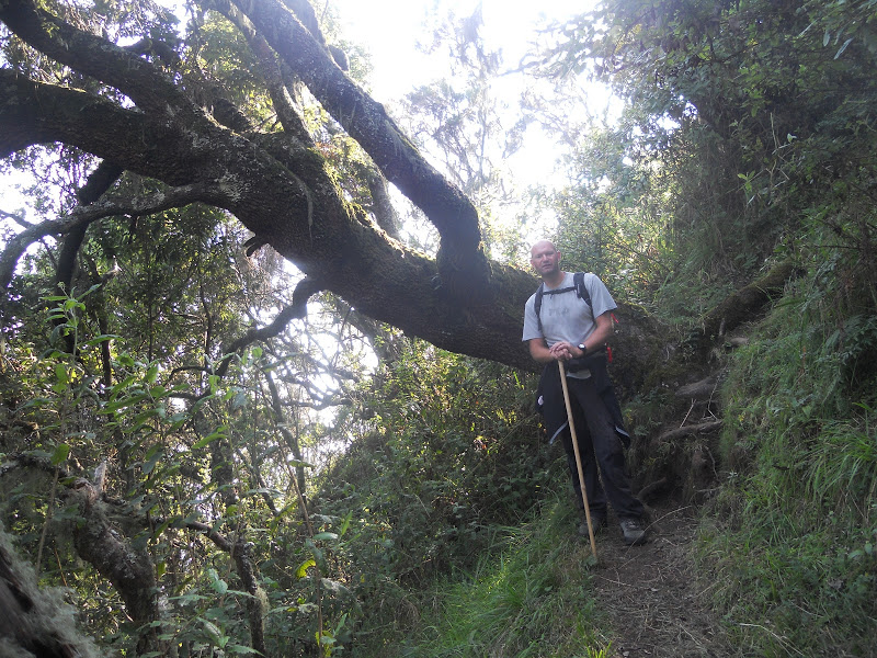 Mount Muhavura