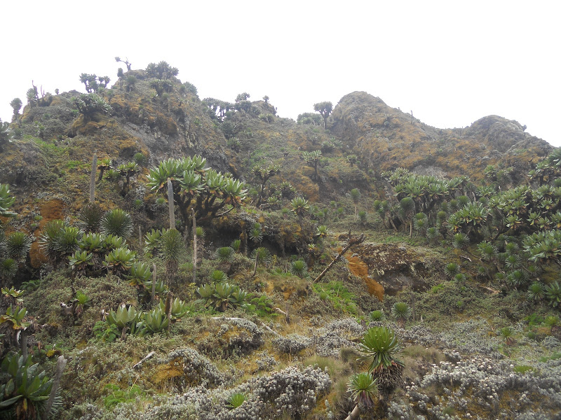 Mount Muhavura