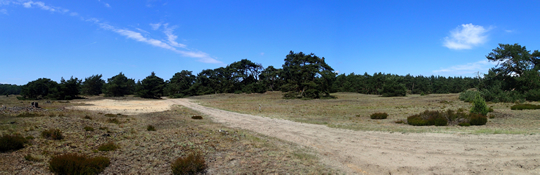 Hoge Veluwe