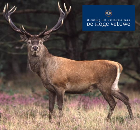 Nationaal Park De Hoge Veluwe